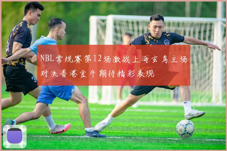 NBL常规赛第12场激战上海玄鸟主场对决香港金牛期待精彩表现